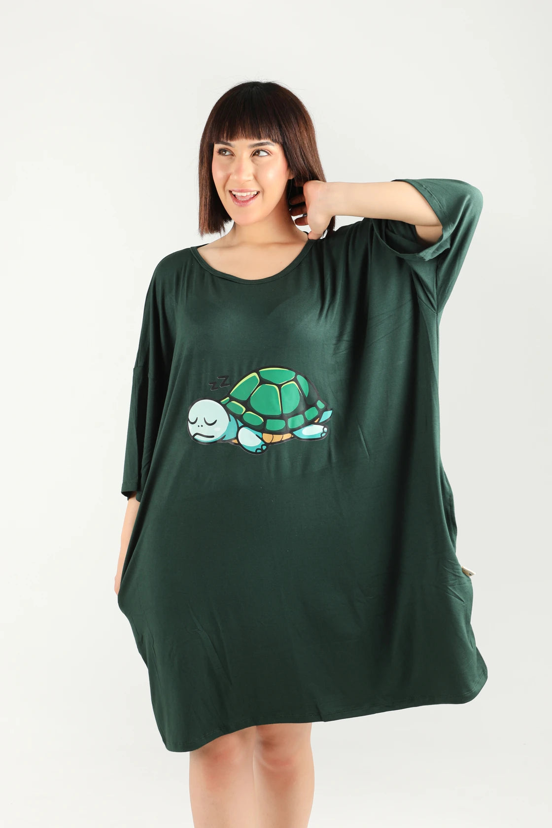 Sleepy Turtle